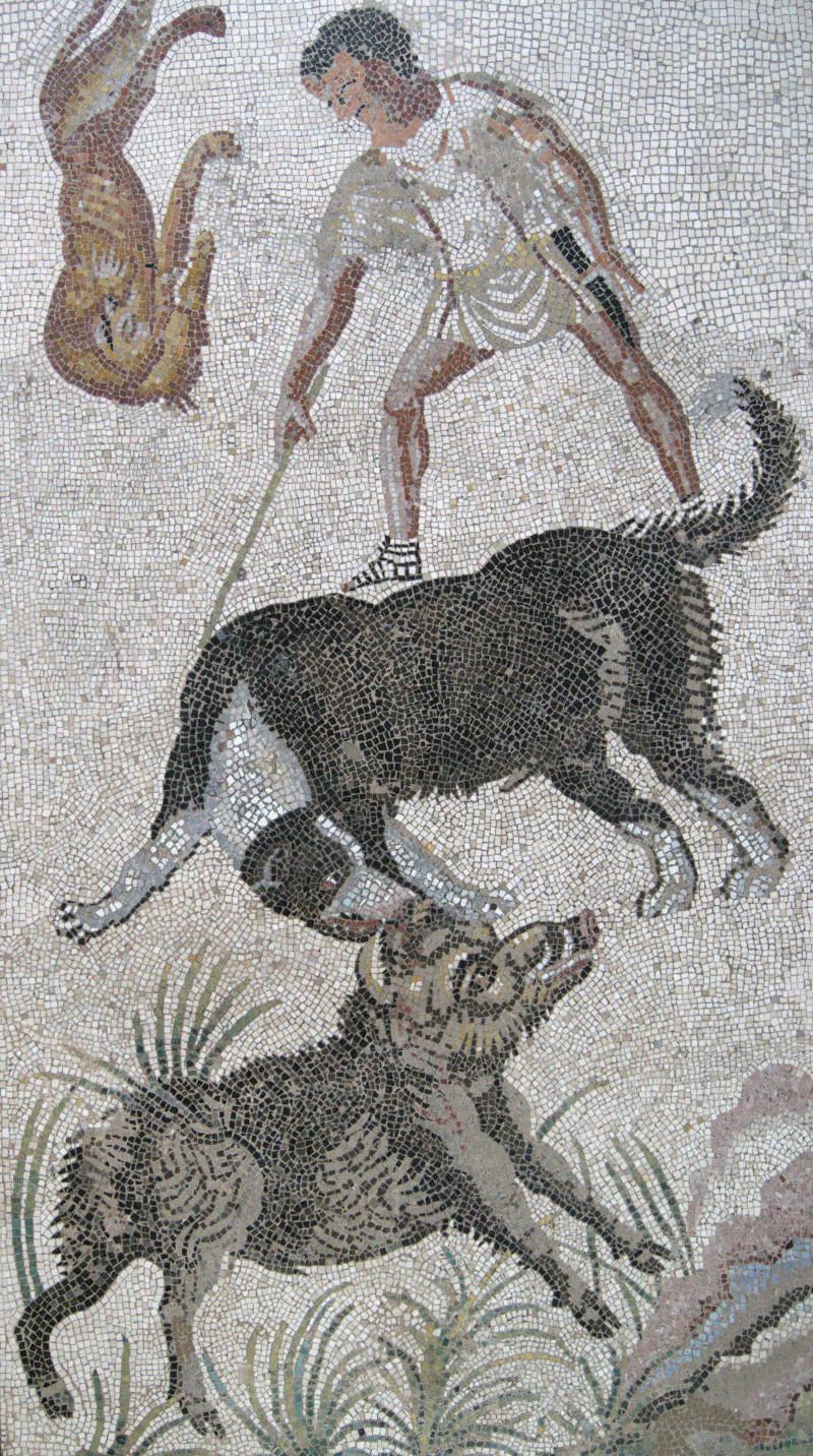 Fragment posadzki mozaikowej z Pompejów, Muzeum w Chantilly fot. M.Krzemiński