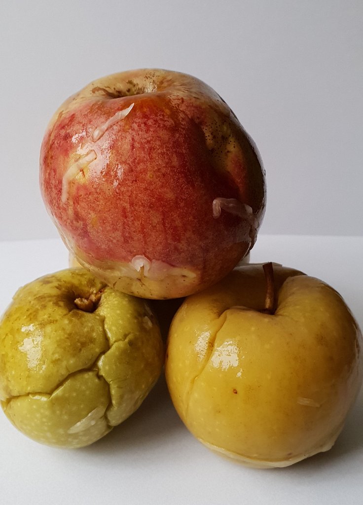 Galicyjskie kwaśne jabłko, fot. Jerzy Solecki